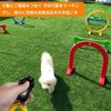 2 Pack Dog Training Clicker Dog Clicker Dog Whistle Dog
