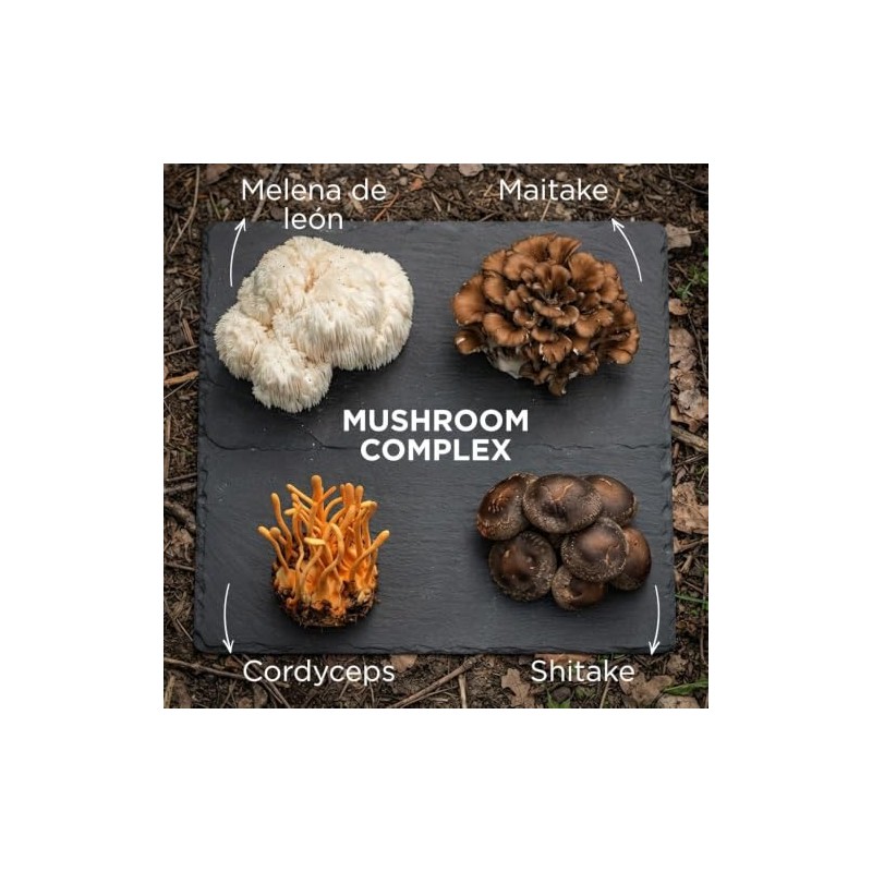 Life180 Mushroom Complex con Melena de León y Cordyceps de