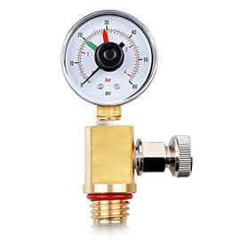 RV40600 (98209800) Brass Air Relief Valve | Compatible with Pool Filter Systems - FNS, Clean and Clear, Quad DE, 4000 Series Filters I Essential Pool Maintenance Accessory