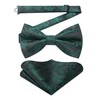 Enlision Bow Tie with Pocket Square for Men Paisley Pre-Tied