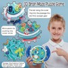 JRD&BS WINL 3D Brain Maze Game Brain Teaser Game for