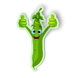 Squiddy Happy Pea Pod Green Bean Healthy Eating Vegetable - Vinyl Sticker - Large Size (12" Tall)
