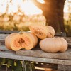 Long Island Cheese Squash - 25 Seeds - Heirloom Squash