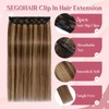 SEGOHAIR Clip In Hair Extensions for women One Piece 5