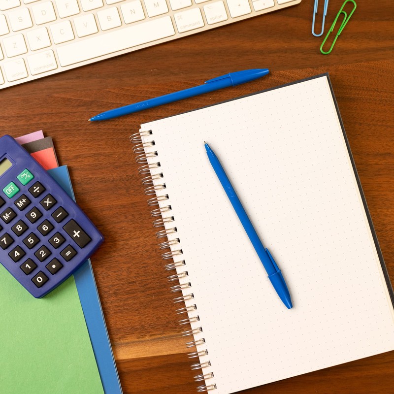 BIC 952005 Economy Ball Pens Medium Point (1.0 mm) -