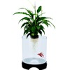 Penn-Plax Aquaponic Planter and Aquarium for Betta Fish | Tank