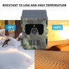 SUNTEKCAM 1/2 Pack Trail Camera Solar 50MP 4K Hunting Game