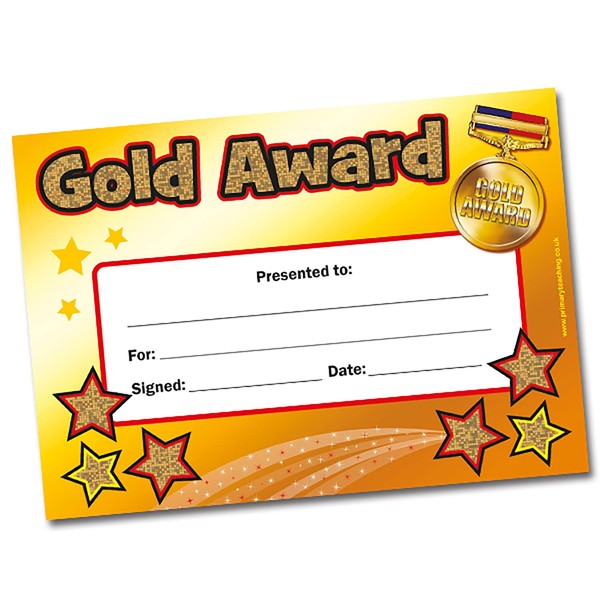 20 Holographic Sparkly Gold Award 1st Place Childrens Pupils School