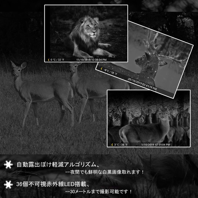 Blazevideo Trail Camera, 1296P Motion Sensor, Security Camera, Wildlife Surveillance