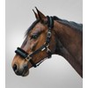 WALDHAUSEN First Headcollar VB, Black