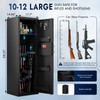 Karini Karini 10-15 Biometric Gun Safe for Rifles and Pistols