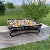 Backyard Essentials Wildlife and Bird Feeder, Deck and Ground Tray