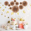 Tissue Paper Pom Poms, Brown Tissue Paper Flowers, Hanging Flower