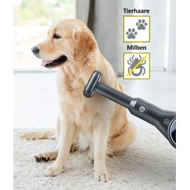 INVICTUS X8 Tierhaarbürste Tierhaarentferner für Katzen Hunde Bürste Tierhaardüse mit Verlängerung Schlauch, geeignet auch für X8 Pro, Set 2-tlg.