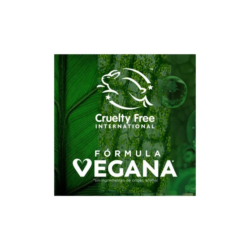 Agua Micelar Garnier Skin Active Con Vitamina C 400ml