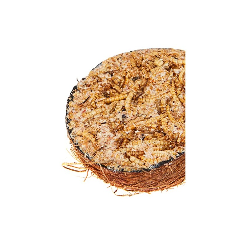 Garden Ting Mealworm Suet Coco Halves Wild Bird Treat, 400