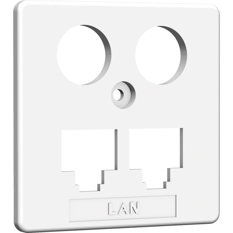Central Panel TV + LAN 50 x 50 mm RW