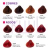 Kit Tinte Cabello Kuul Naturales Peroxido Vol