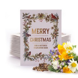 Bentley Seeds Co. Merry Christmas Wreath of Birds Holiday/Christmas Gift Tags | Non-GMO, Non Coated Bird & Butterfly Pollinator Wildflower Seed Mix | 25 Seed Packets