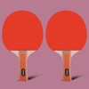 LW-0321 Double-Sided Table Tennis Racket and Ball Set Basic Model LW-0321 Table Tennis Racket Set