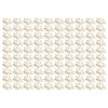CLIPS DE PAPEL, 100 Pcs PROCESO DE ELECTROLLACIÓN ANI RODPLACIÓN