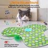 Interactive Cat Toy for Indoor Cats Automatic Cat Toy for