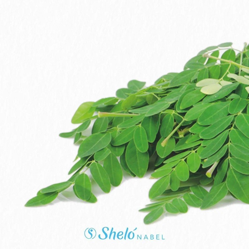 Aceite Natural Antifrizz Coco Moringa Cabello Manejable Shel