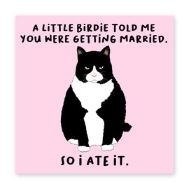 Central 23 - Funny Congratulations Card for Her - 'A Little Birdie…You Were Getting Married' - Fun Engagement Card - Cat Card - Comes with Fun Stickers