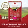 Purina ONE Dry Dog Food Lamb and Rice Formula -