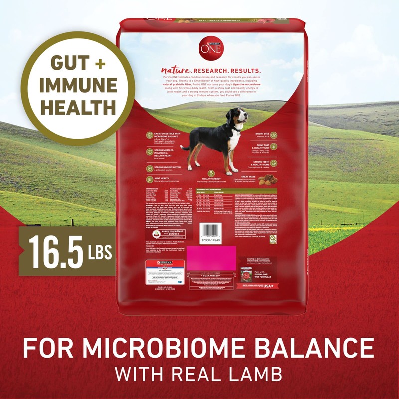 Purina ONE Dry Dog Food Lamb and Rice Formula -