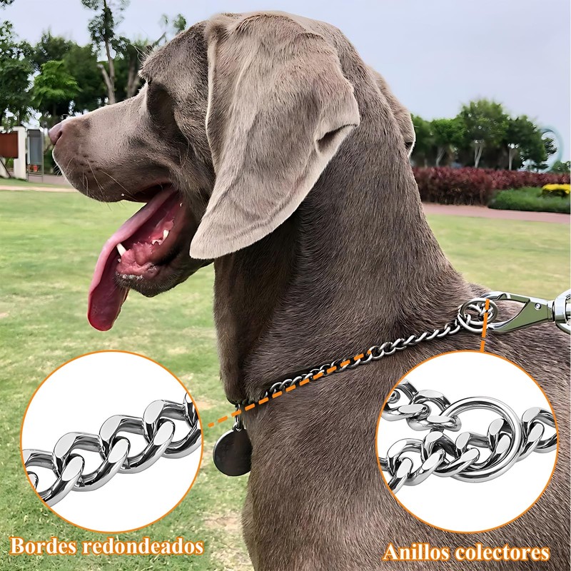 YDGAKN 2PCS Collar de Castigo para Perro,Collar de Entrenamiento para