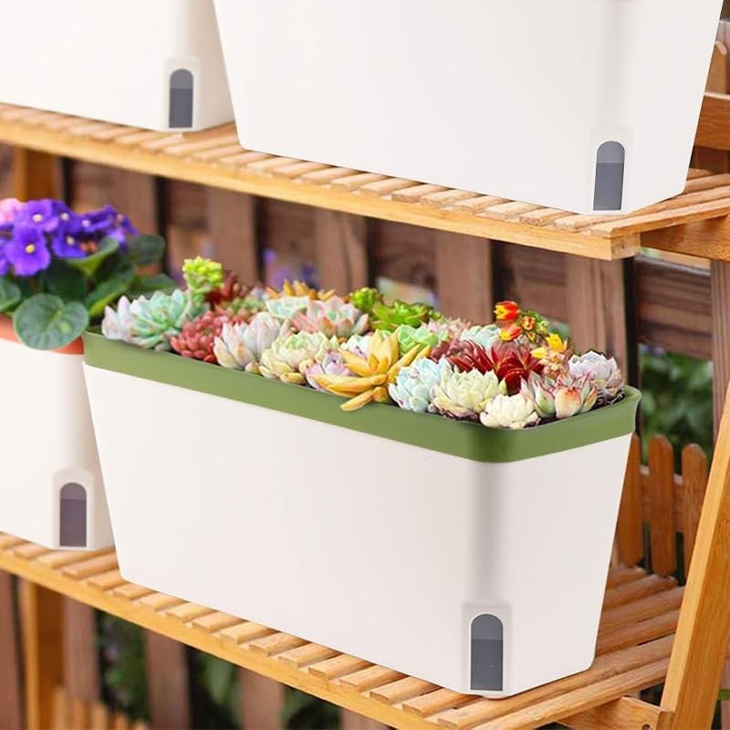 AIMALL Self-Watering Balcony Vegetable Pot for Growing Cilantro, Onions, Herbs,