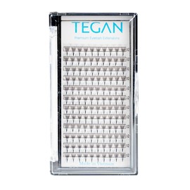 TEGAN LASH Premade Fans Volume Eyelash Extensions, From 3D - 10D, 0.05/0.07 Thickness, C/CC/D Curl, 9-15mm Length, Thin Base, Easy Apply False Eyelashes, Pestanas Pelo A Pelo (7D-0.07-C-11)