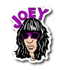 Joey Ramone The Ramones Garage Rock Roll Punk Sticker Decal Bumper 026