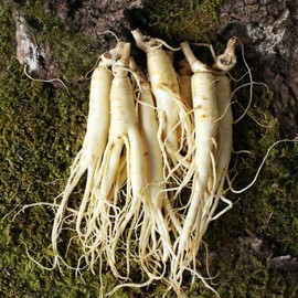 Eco-Friendly Paldo (롯데백화점)금산 황금농장 홍삼용 세척 작은원삼 700g (Galleria Department Store) Geumsan Golden Farm Red Ginseng Cleaned Small Ginseng 700g