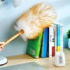 인테리어 중형 먼지털이 천연 양털 먼지떨이 Medium Natural Wool Duster for Interior [Wool dander M]