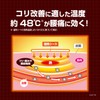 血流改善 腰ホットン つらい腰痛を温熱でやわらげる 衣類に貼る 10枚入 小林製薬