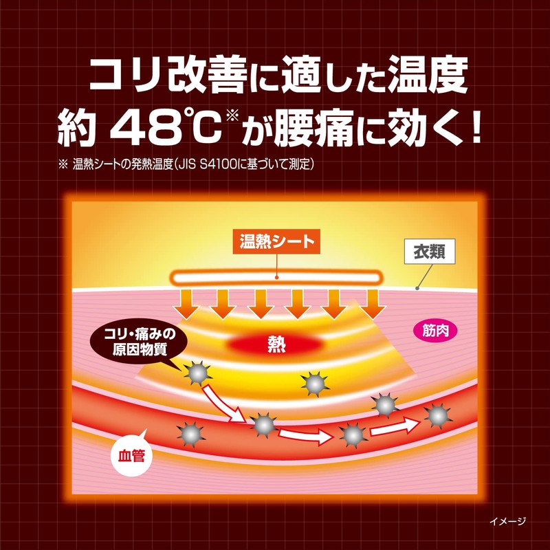 血流改善 腰ホットン つらい腰痛を温熱でやわらげる 衣類に貼る 10枚入 小林製薬