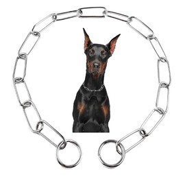 Silver Choke Collar for Dogs,Metal Slip P Chain Dog Collar Heavy Duty Training Dog Choker Collar Puppy Collars for Small Medium Large Big Breed Dogs,M