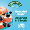 Robinson's Fruit Drink, Apple & Blackcurrant, No Added Sugar, 1