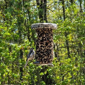 Granite 360 Degree Refillable Seed Cylinder Birdfeeder – Premium Handcrafted & Sustainable Natural Bird Feeder – Eco-Friendly Gift for Birdwatching Enthusiasts – American Sourced Materials