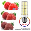 RIUVAO LED Corn Light Bulb 200w Equivalent 2500 Lumen 5000K