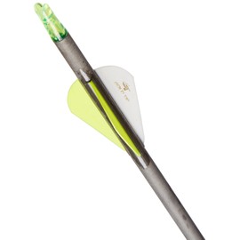 Gold Tip Hunter XT Arrows with Raptor Vane (Pack of 6), Black, 300