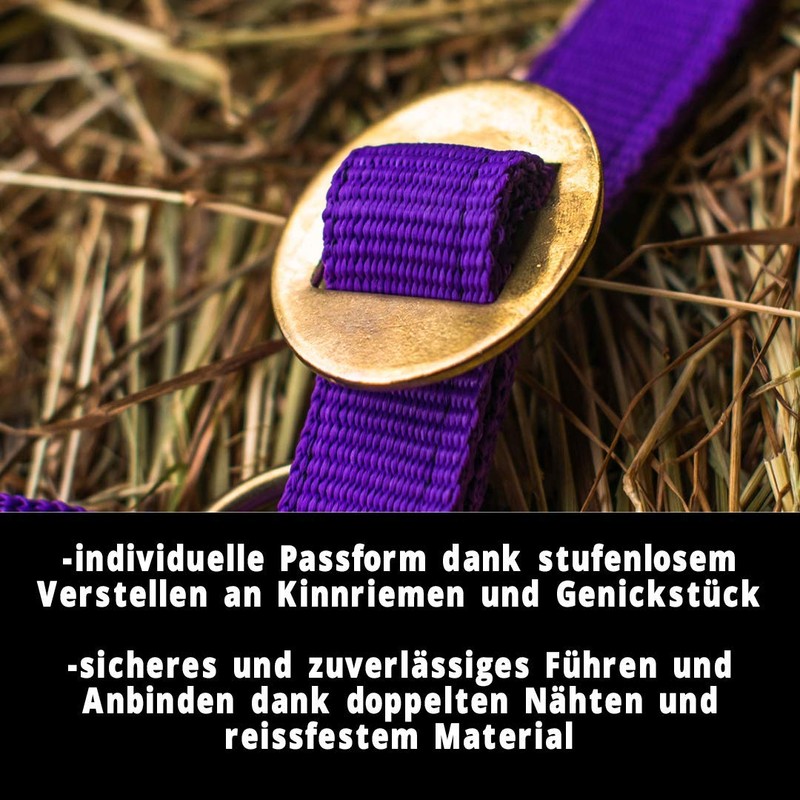 Halter for Horse, Warm-Blood, Thoroughbred, Cold Blood - Stable Halter,