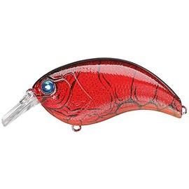 deps/ããã¹ EVOKE/ã¤ã´ã©ã¼ã¯ 2.0 ï¼05 ã¬ããã¯ã­ã¼ 2.0