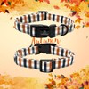Lionheart glory Plaid Dog Collar, Brown black grid, Small (Pack