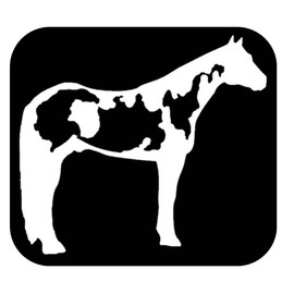 Paint Horse Sticker OS 115 6" horse Decal appaloosa