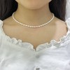 Sterling Silver White Freshwater Cultured Small Pearls Choker Necklace for
