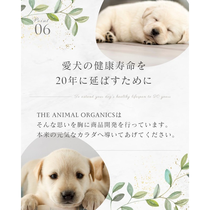 THE ANIMAL ORGANICS Supplement for Dogs and Cats, Legs &