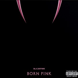 Born Pink [Standard CD]